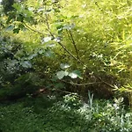 Bed & Breakfast Havre De Paix En Gascogne Courrensan