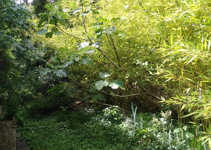 ベッド・アンド・ブレックファスト Havre De Paix En Gascogne Courrensan